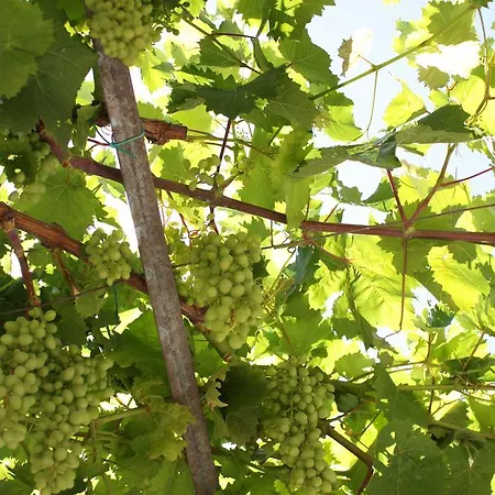 Casale Spisari Galatone