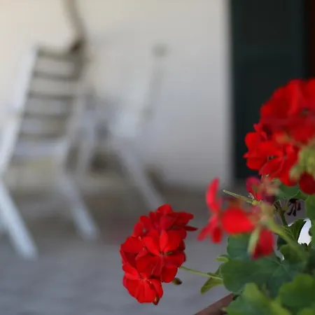 Bed and Breakfast Casale Spisari